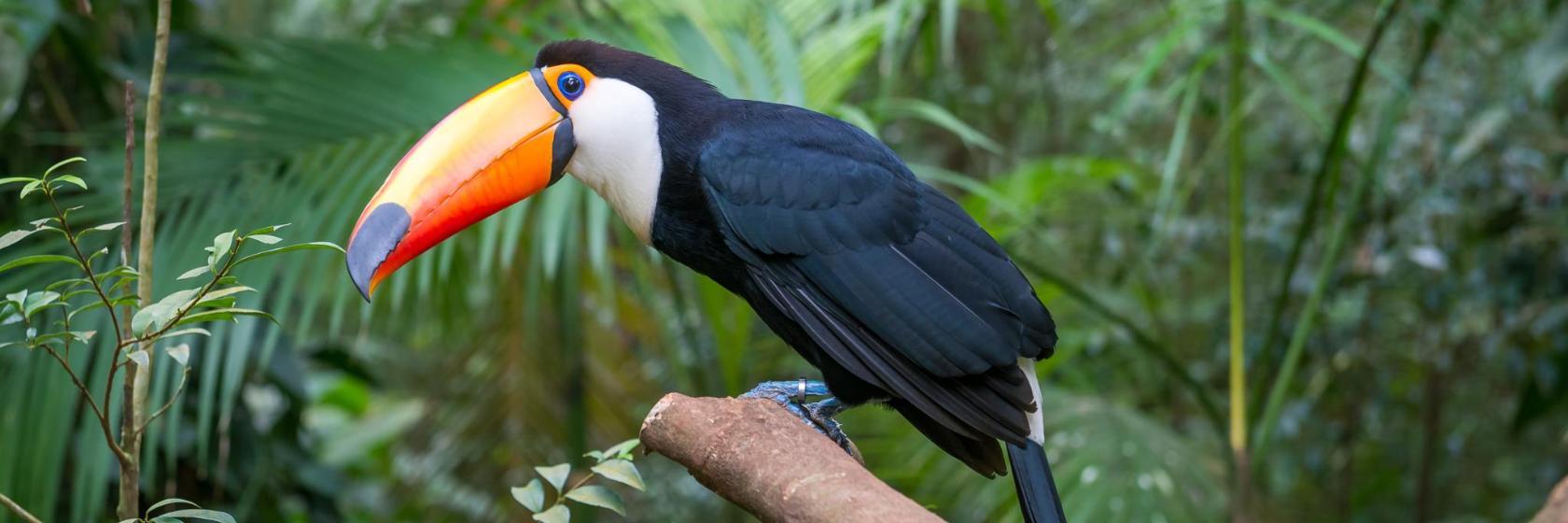 グリーン・プラネット・ドバイ